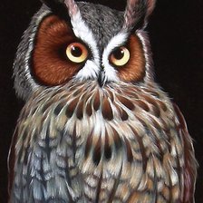 Схема вышивки «сова»