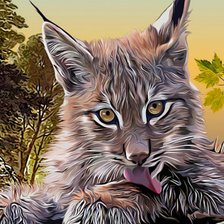 Схема вышивки «рысенок»