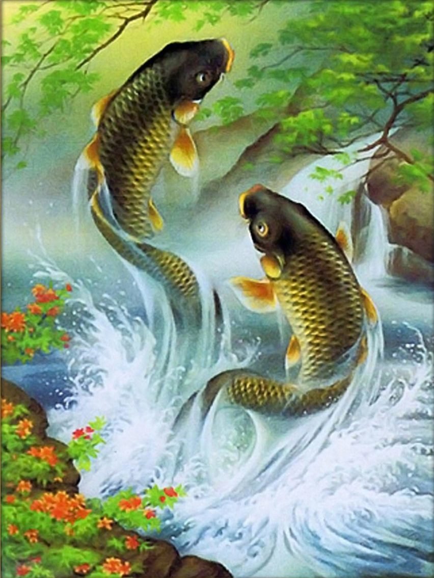 Весёлые карасики - вода, природа, рыба - оригинал