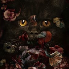 аквариум -рыбки С КОТОМ