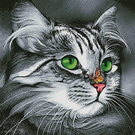 Необычные друзья - кот, животные - оригинал