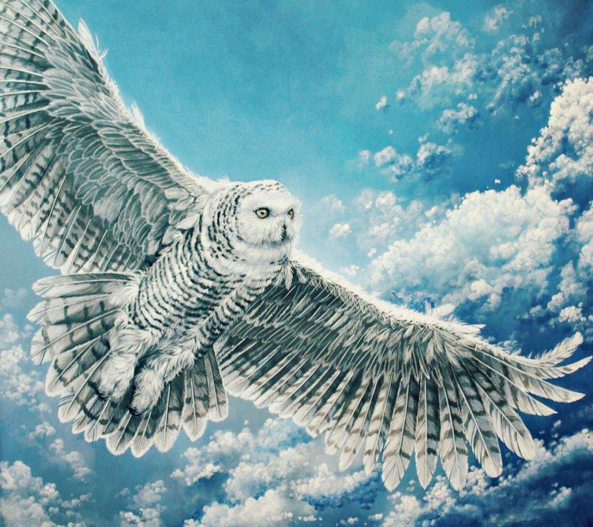 Полет совы - оригинал