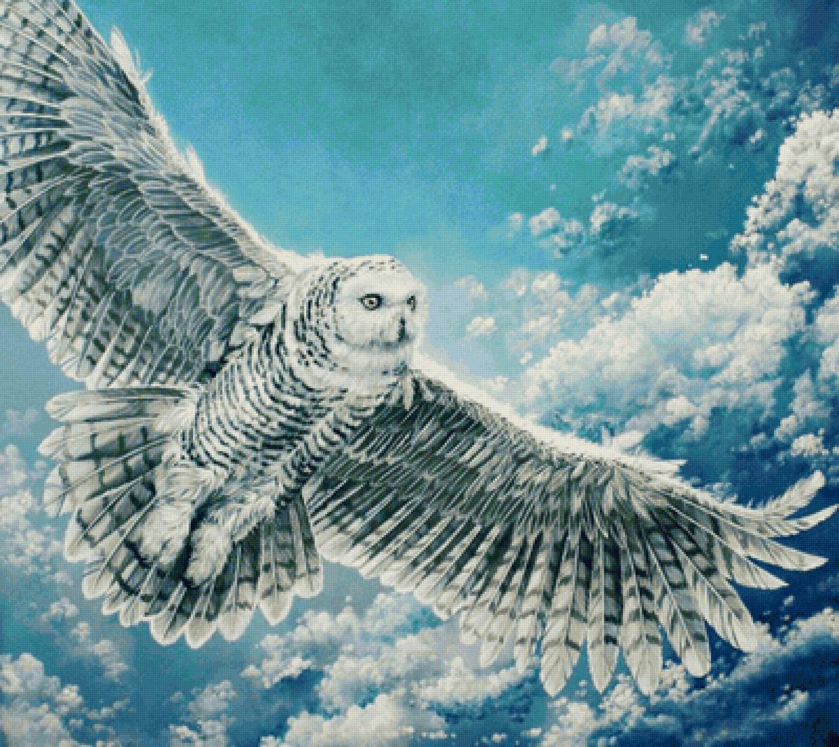 Полет совы - предпросмотр