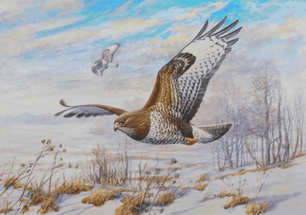 Полёт птиц - предпросмотр