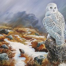 Схема вышивки «Сова»