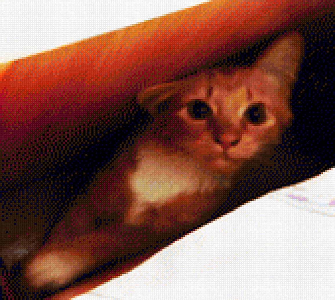 спряталась - предпросмотр