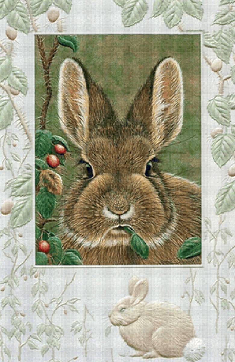 кролик - открытка - предпросмотр