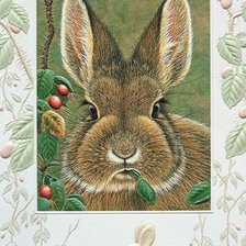 Схема вышивки «кролик»