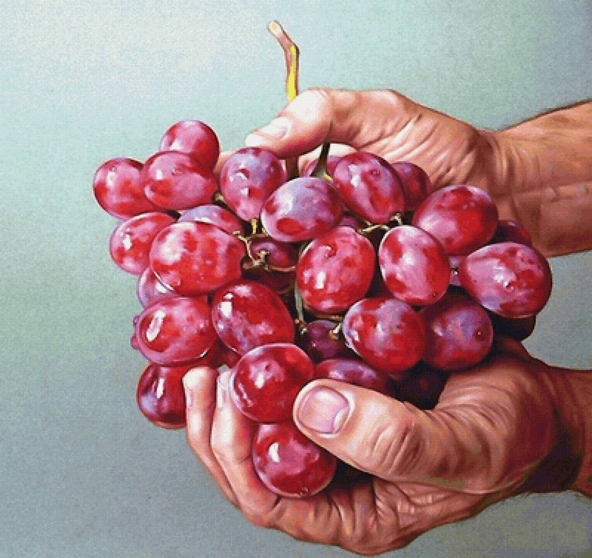 виноград - виноград, руки - предпросмотр