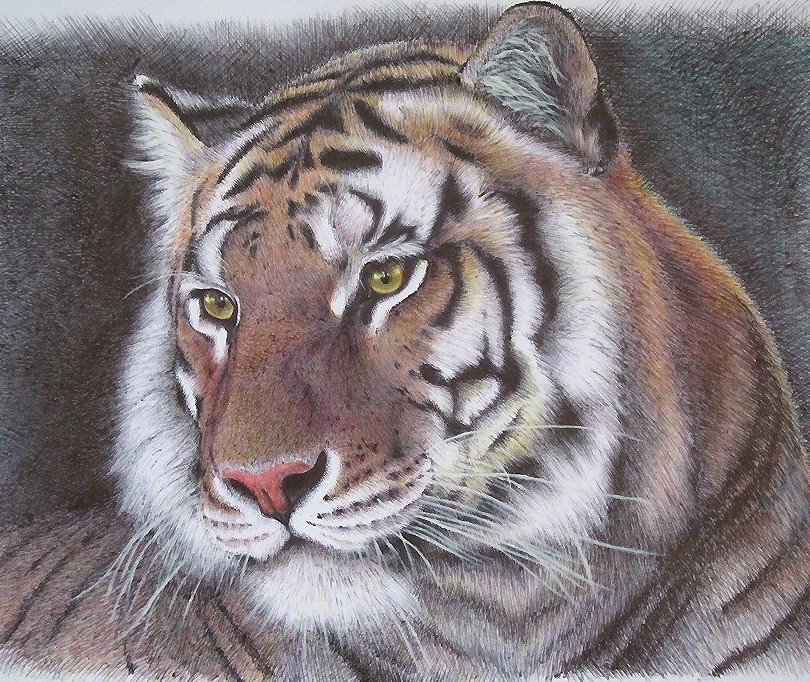 №2173475 - оригинал