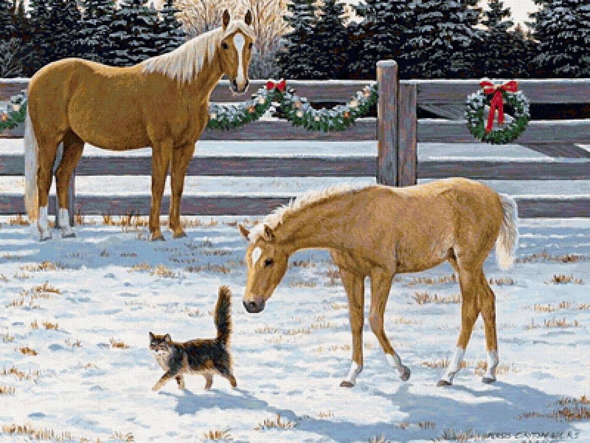 Прогулка по манежу - зима, кошка, снег, кони, солнце - предпросмотр