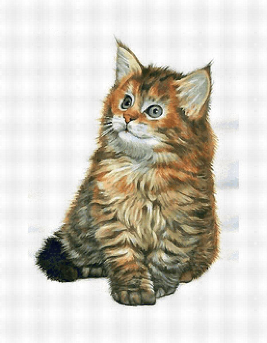 котёнок - предпросмотр