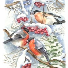 Схема вышивки «акварель»