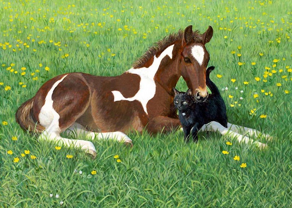 Звездочка и Черныш - жеребенок, цветы, кот, трава - оригинал