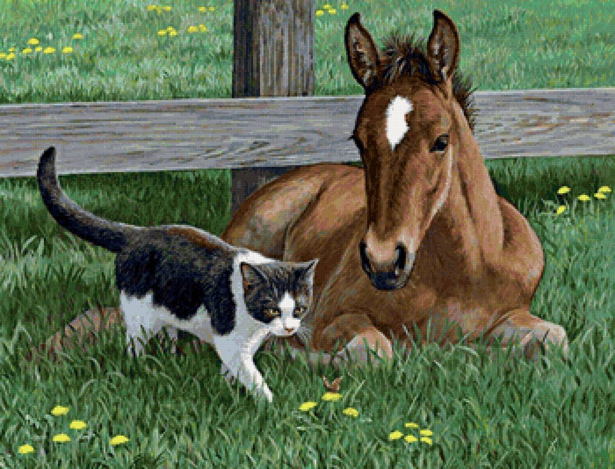 Защитник - трава, жеребенок, кот, цветы - предпросмотр