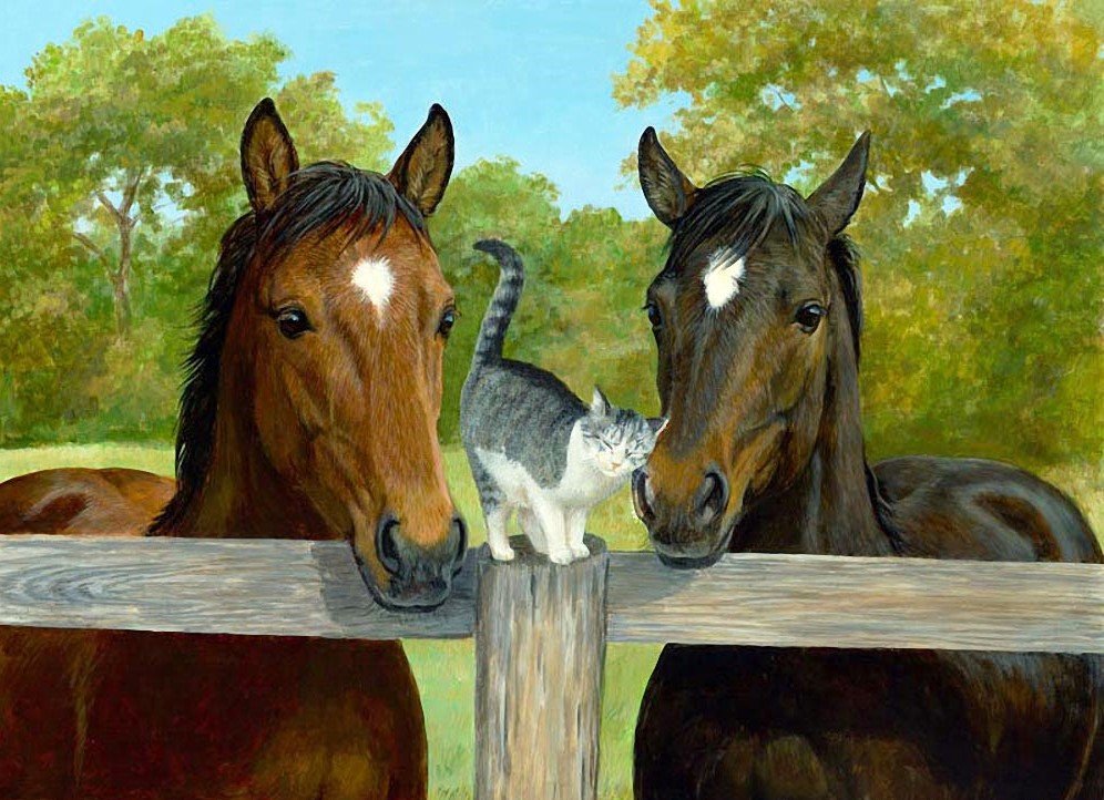 Три друга - лето, лошади, кошка - оригинал