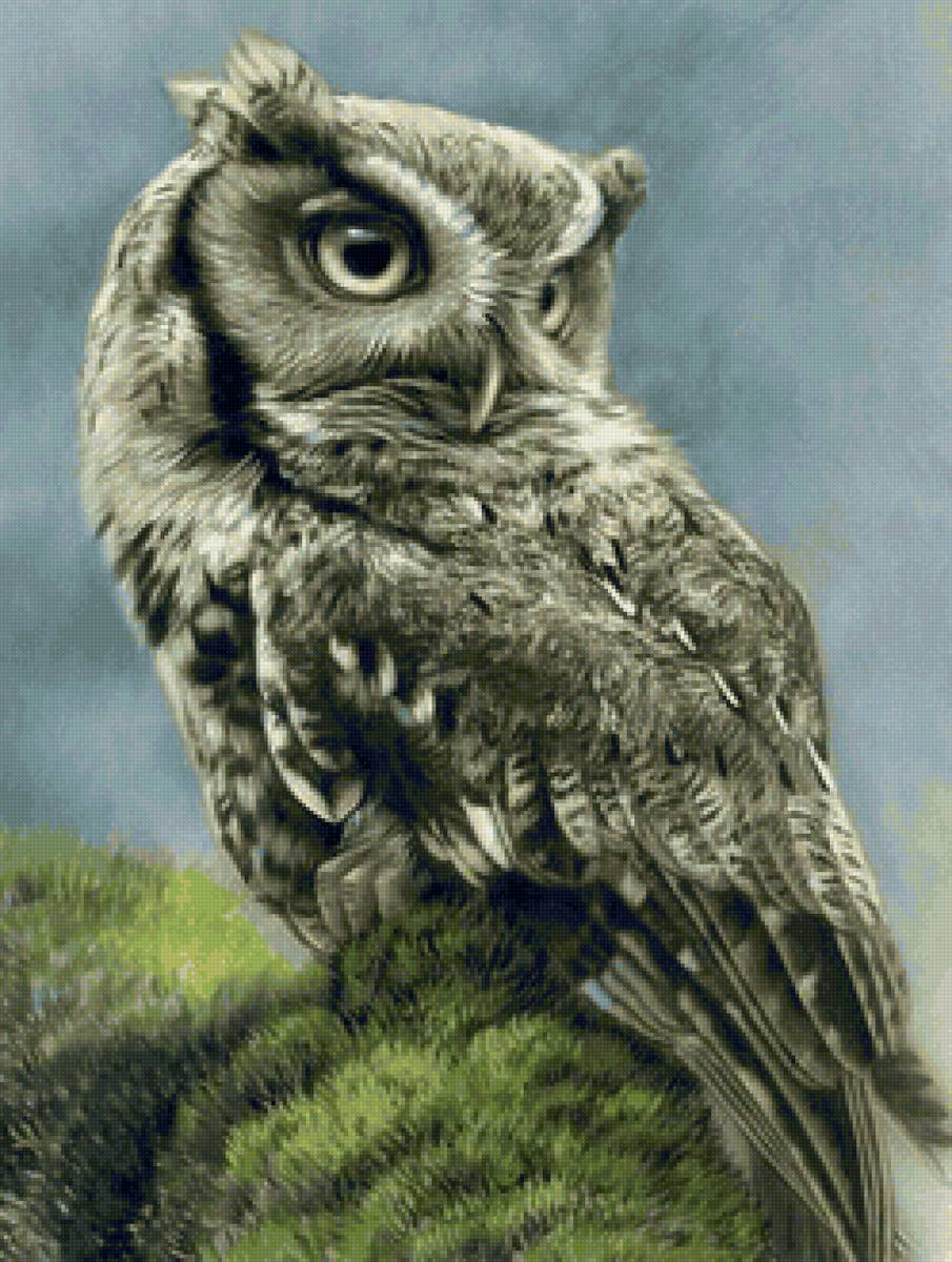 пейзаж - предпросмотр