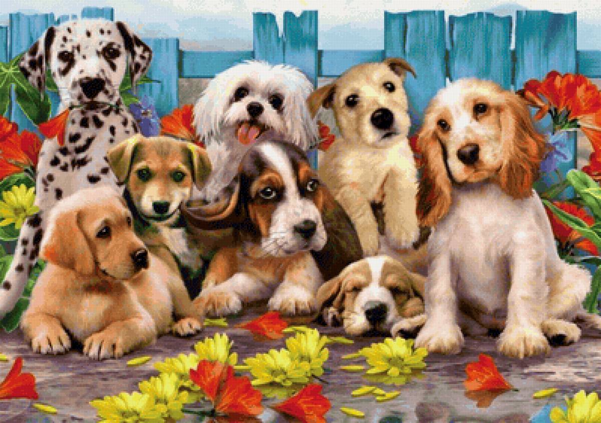 №2174051 - предпросмотр