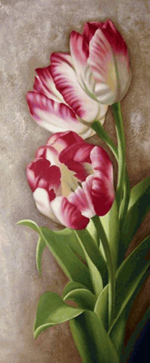 ТЮЛЬПАНЫ - предпросмотр