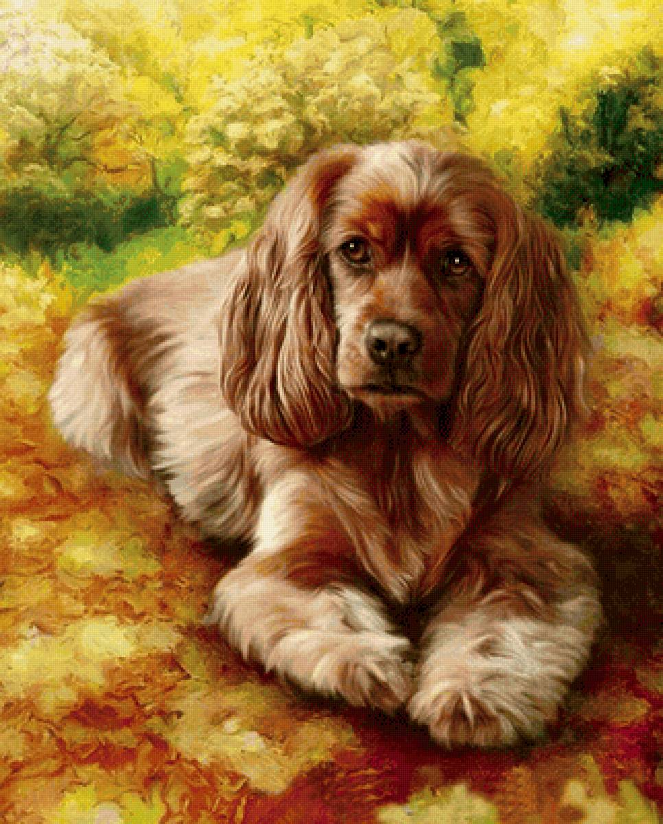 №2174505 - предпросмотр