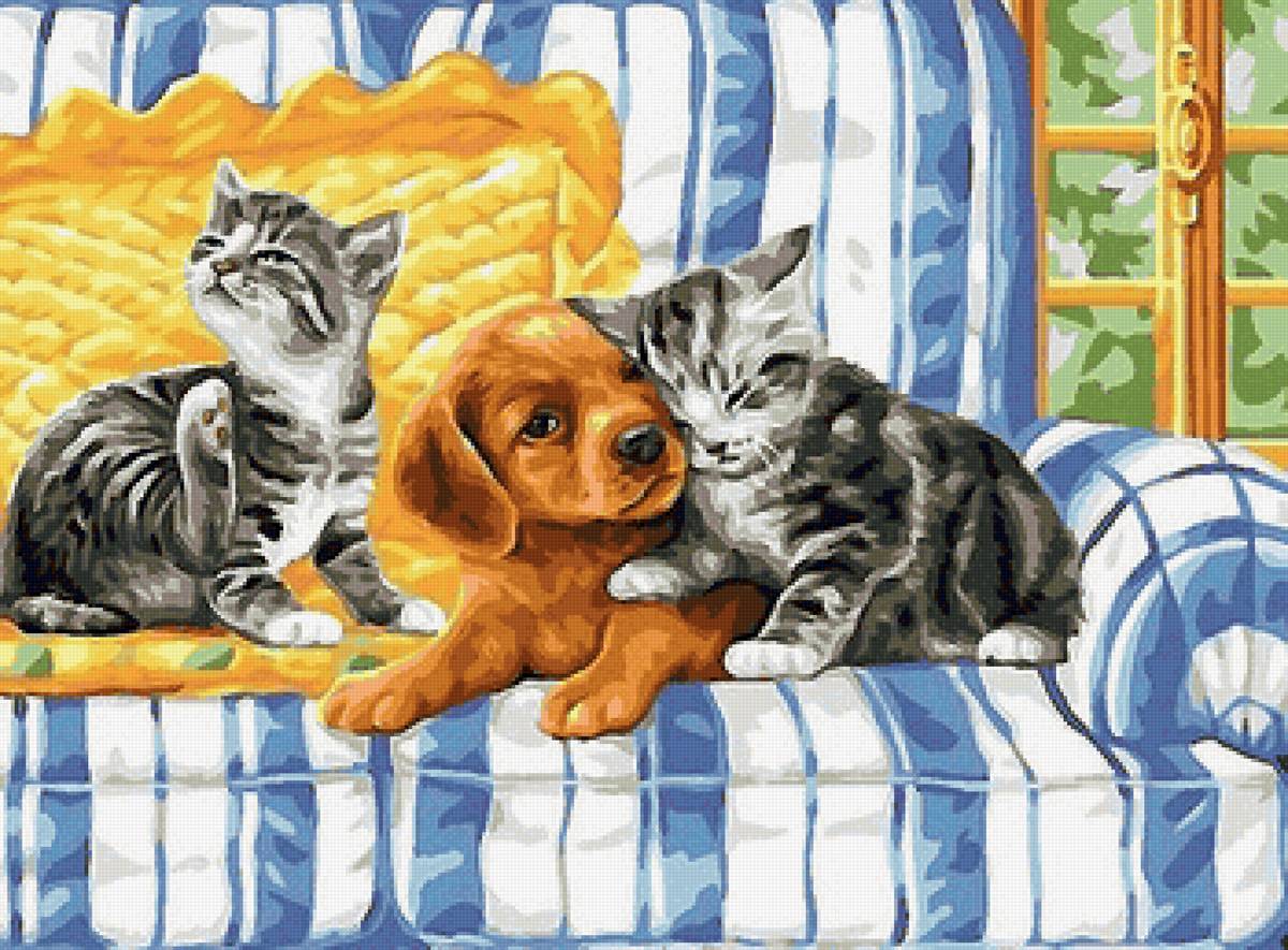 друзья - котята, щенок - предпросмотр