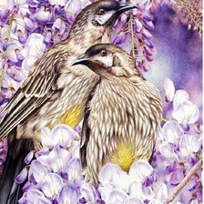 Схема вышивки «Pássaros nas flores»