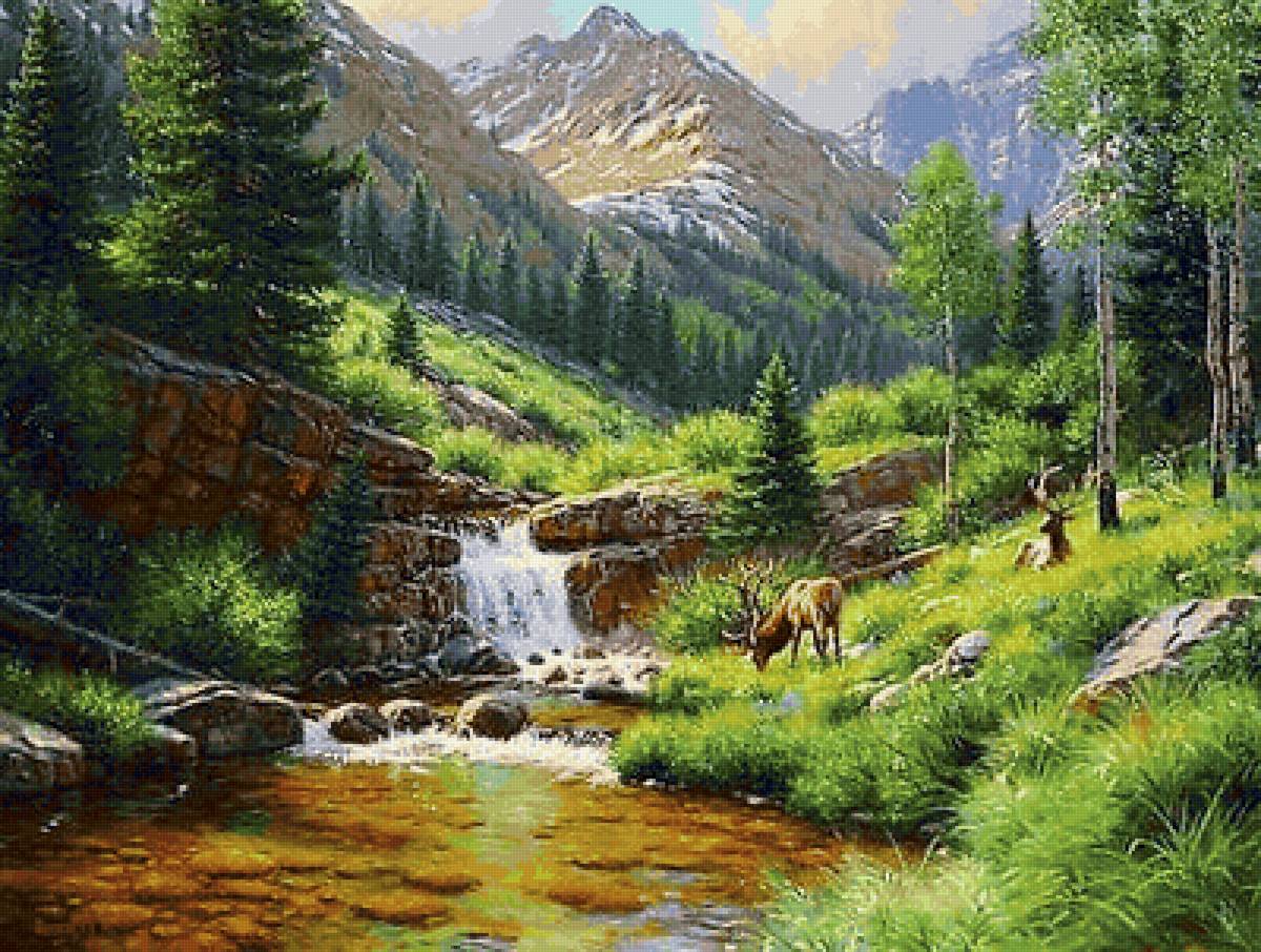 дикие - предпросмотр