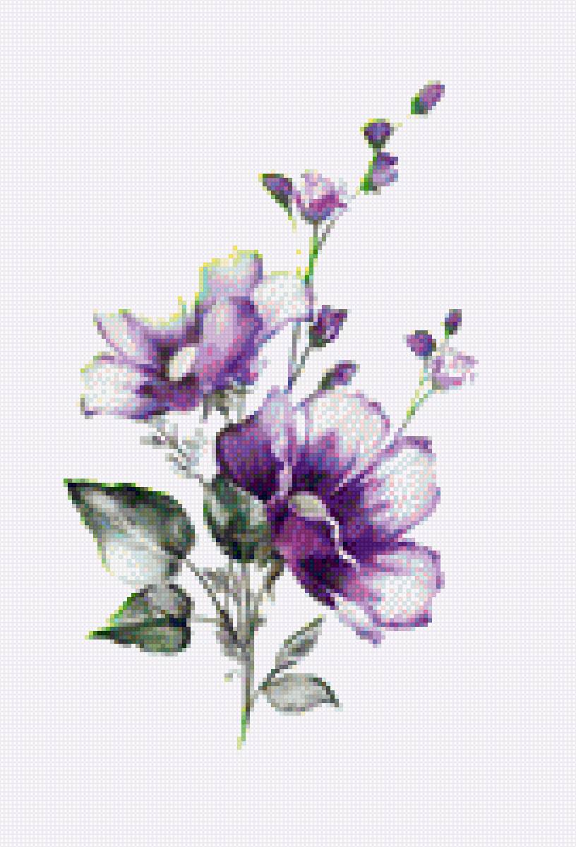 flores - flores - предпросмотр