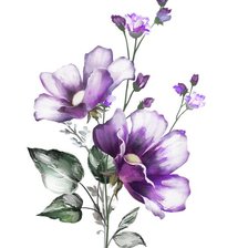 Схема вышивки «flores»