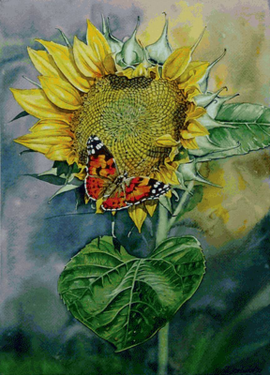 Бабочка и подсолнух - предпросмотр
