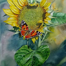 Схема вышивки «Бабочка и подсолнух»