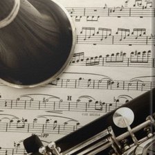 Схема вышивки «Clarinete»