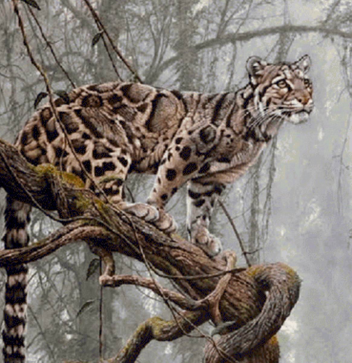 Jaguatirica, - animais. - предпросмотр