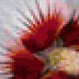 Предпросмотр схемы вышивки «цветы» (№2176293)