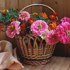 Схема вышивки «Циннии»