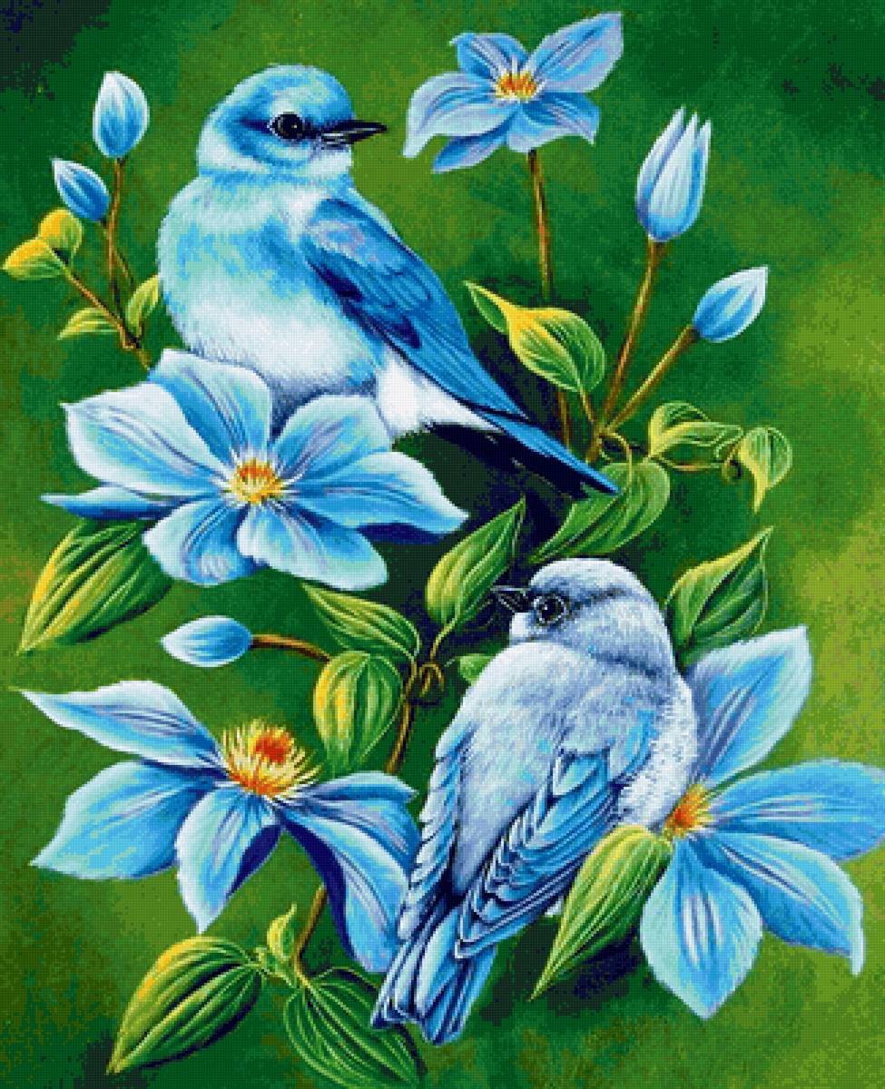 Синяя птица счастья - природа, птица - предпросмотр