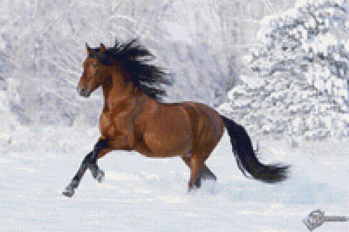 лощадь - лошади, природа, зима - предпросмотр