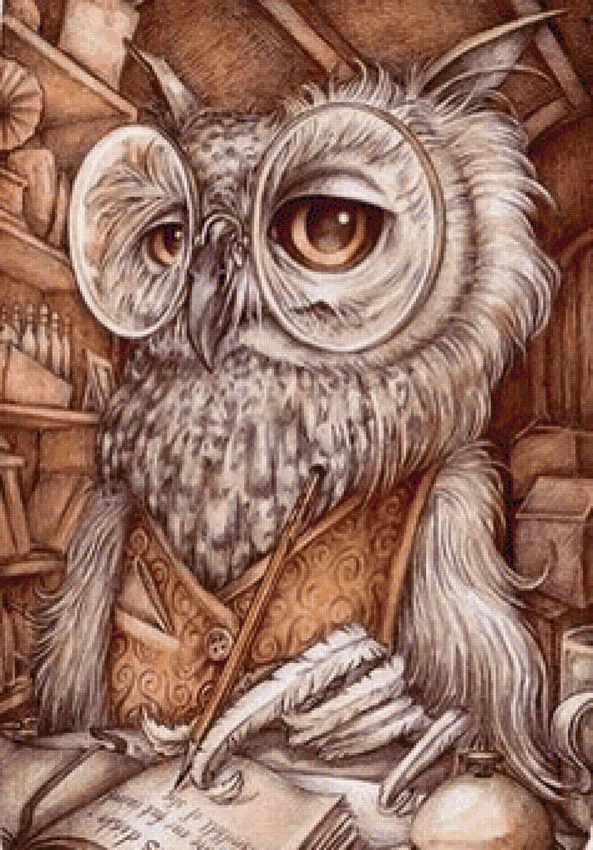 №2176486 - птицы, библиотека, сова, книги - предпросмотр