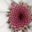 Предпросмотр схемы вышивки «ПАНЕЛЬКА-ромашки» (№2176704)