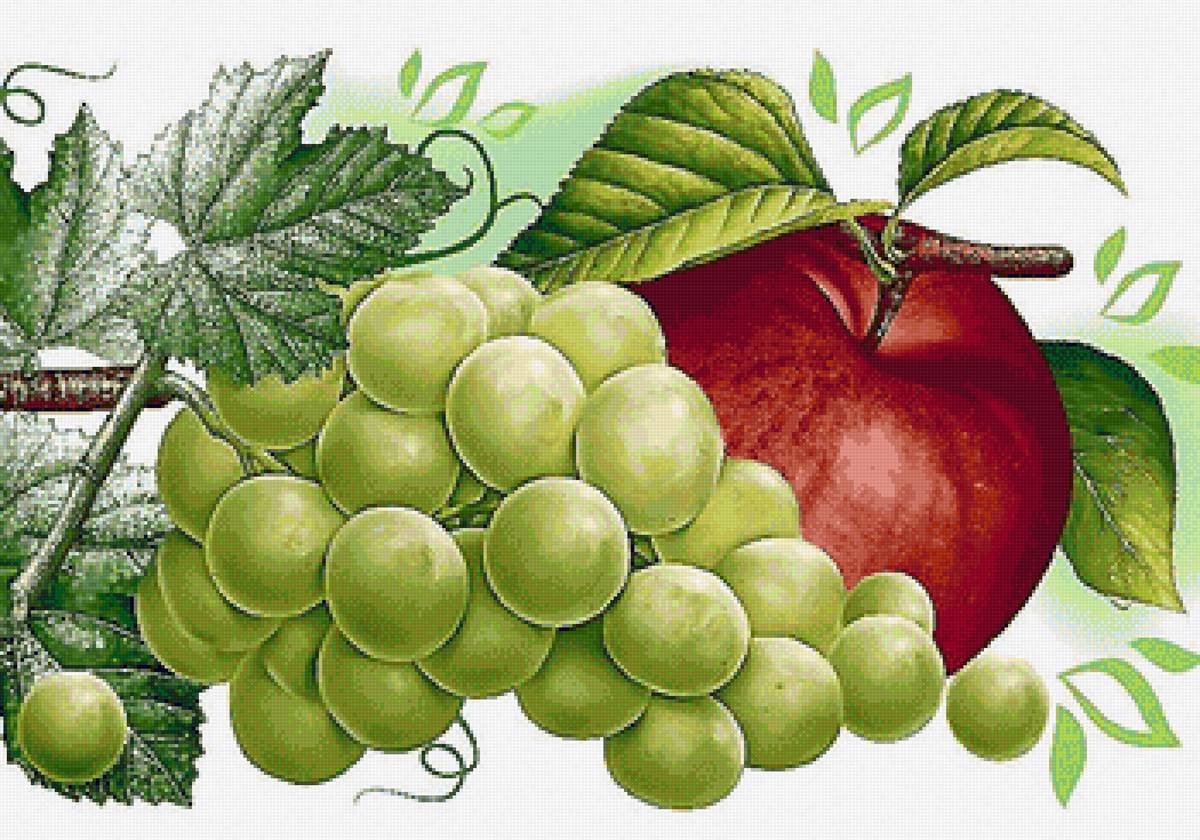 №2176742 - предпросмотр