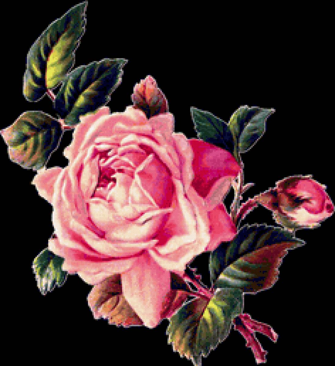 Одинокая роза - букет, натюрморт, роза, цветы - предпросмотр