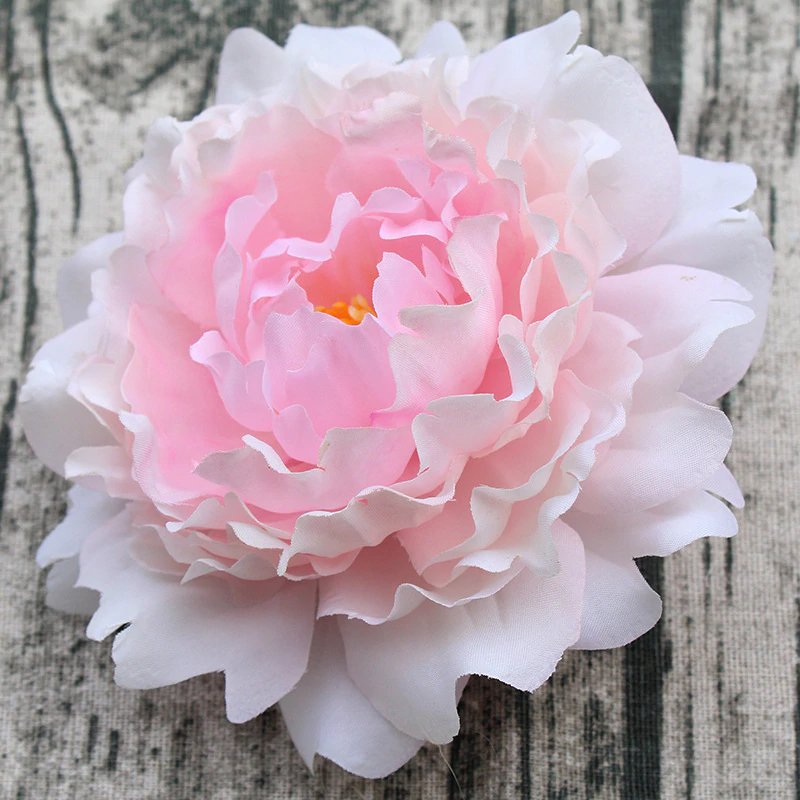 Пион - пионы., цветы - оригинал