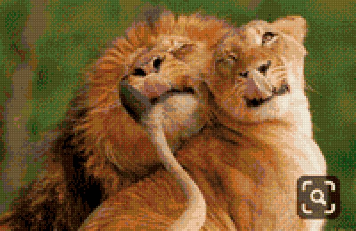 Львы - предпросмотр