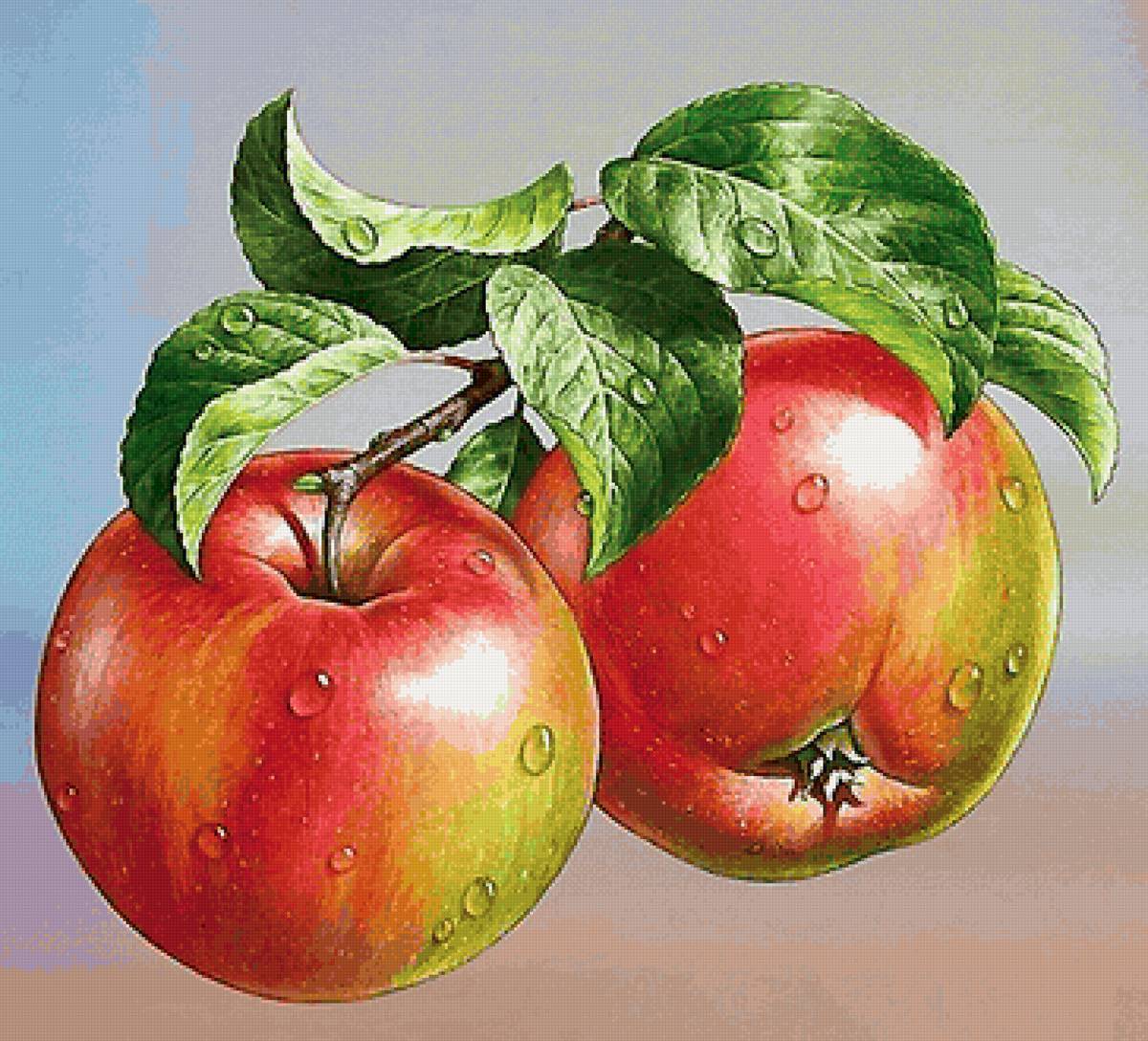 №2177283 - предпросмотр