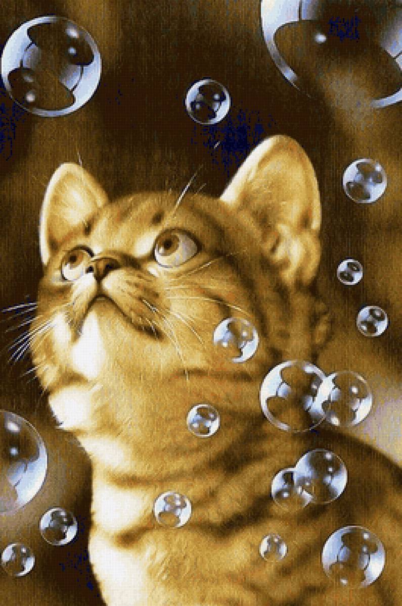 Воздушные пузыри - пузыри, кот, животные - предпросмотр