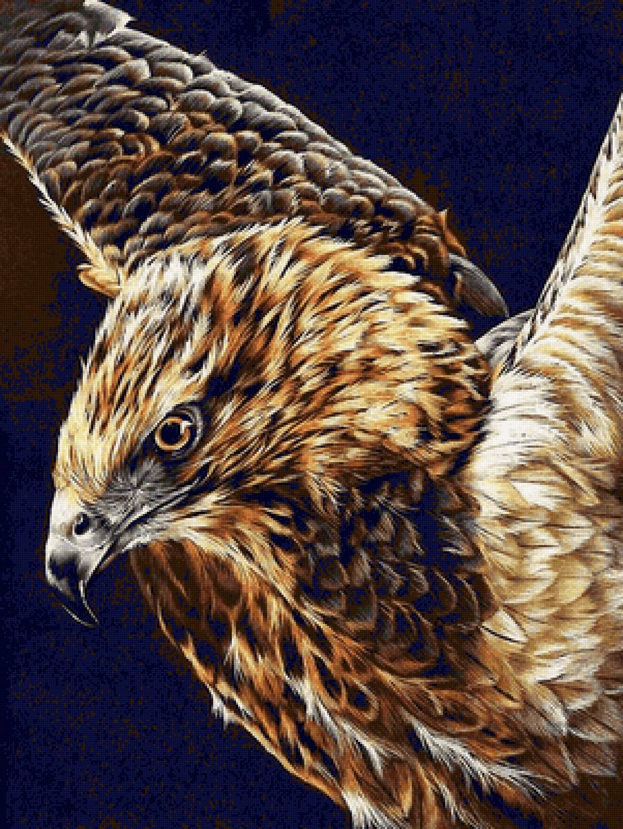 Орел - птицы, дикие, орел - предпросмотр