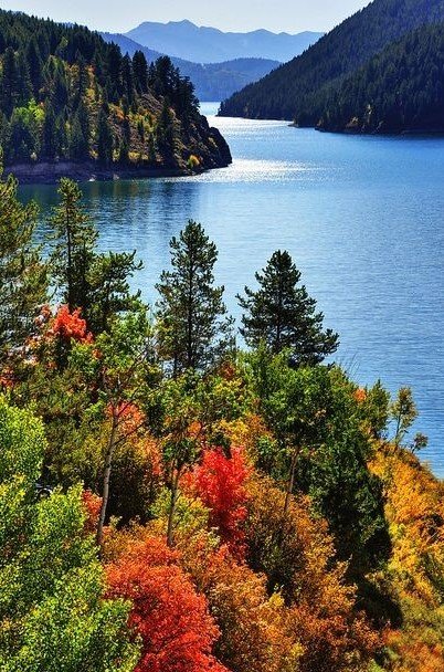 Осень - лес, горы, пейзаж, река - оригинал