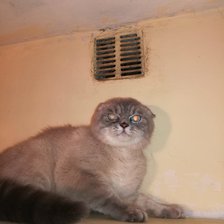 Схема вышивки «Дымок»