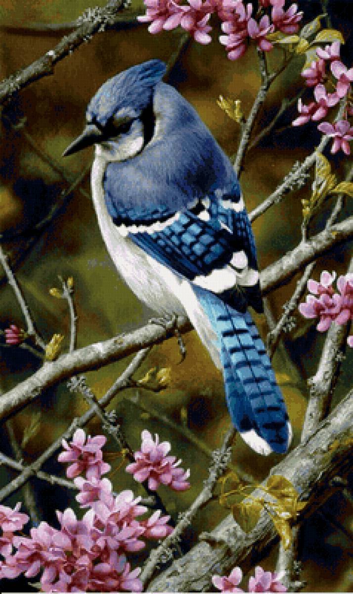 Pássaro,nas flores - pássaro, flores. - предпросмотр