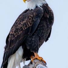 Схема вышивки «№2178042»